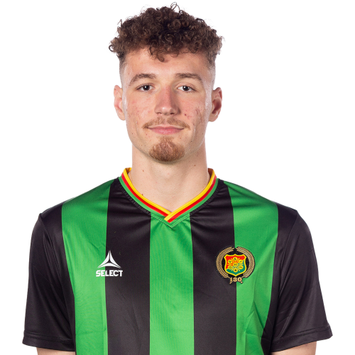 Anes Čardaklija Icon