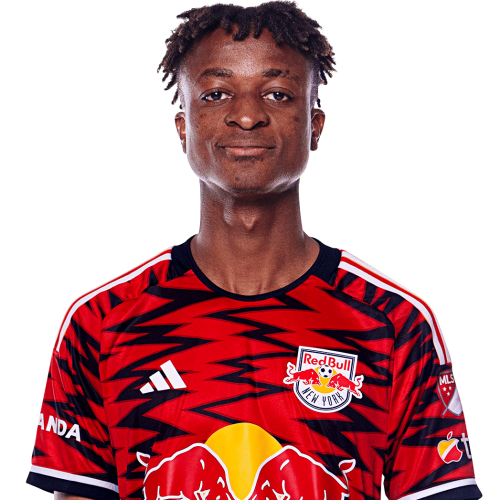 Mohammed Sofo Icon