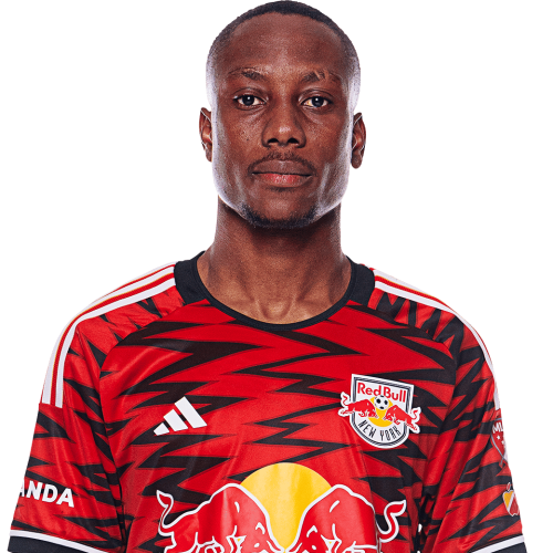 Ronald Donkor Icon