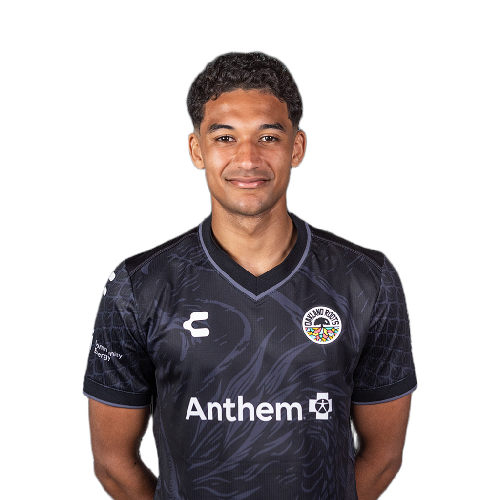Bertin Jacquesson Icon