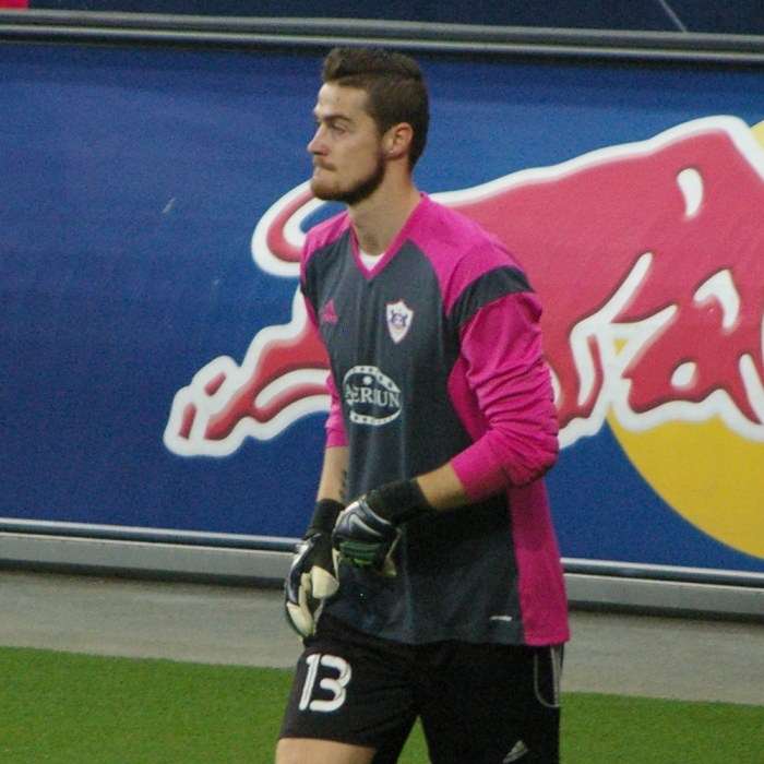 Ibrahim Šehić Icon