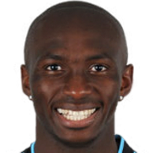 Stephane Mbia Icon