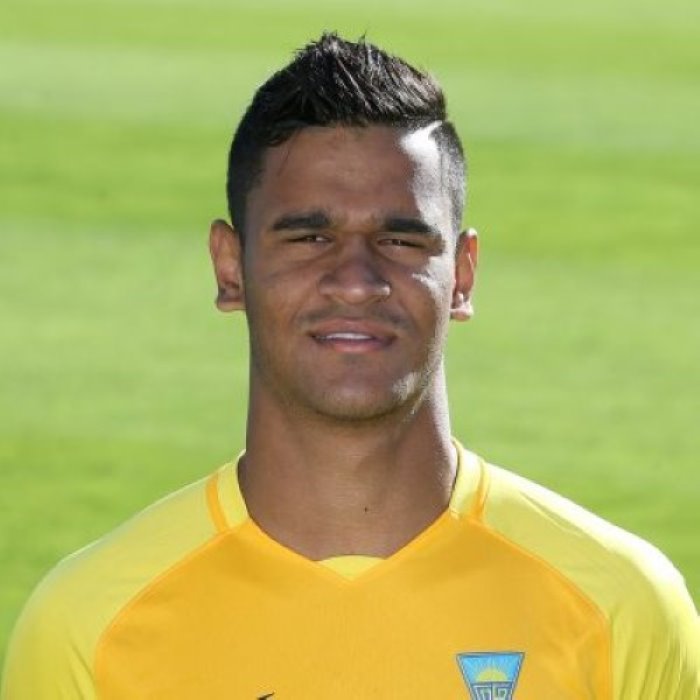 Matheus Índio Icon