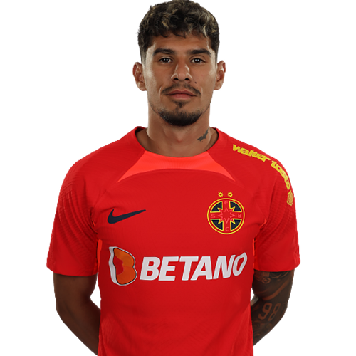 Florinel Coman Icon
