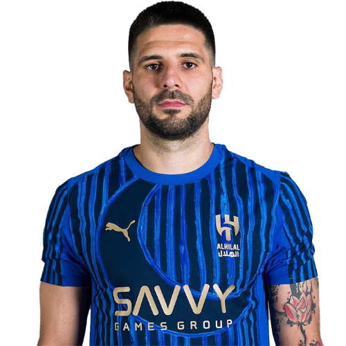 Aleksandar Mitrovic Icon