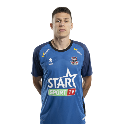 Dávid Hrnčár Icon