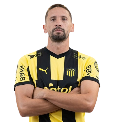 Gaston Ramirez Icon