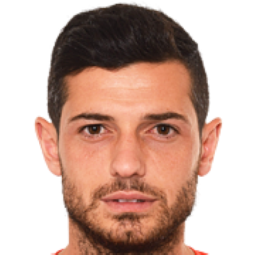 Blerim Dzemaili Icon