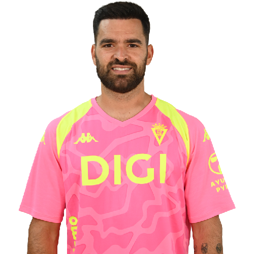 David Gil Icon