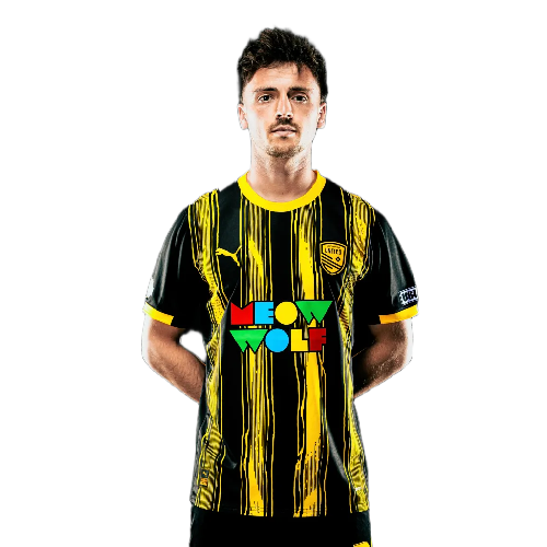 Valentin Noël Icon