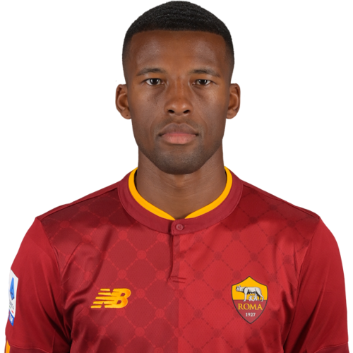 Georginio Wijnaldum Icon