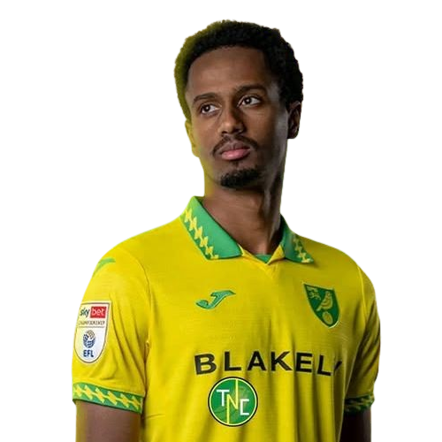 Ali Ahmed Icon