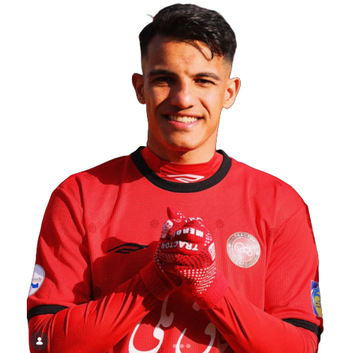 Amirhossein Hosseinzadeh Icon