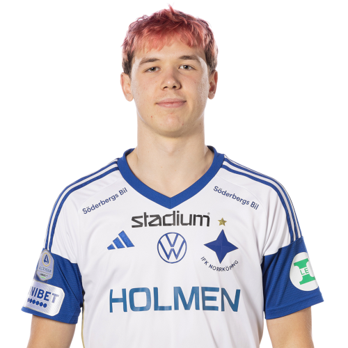 Ture Sandberg Icon