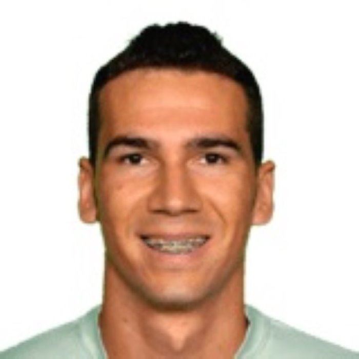 Wellington De Lima Gomes Icon