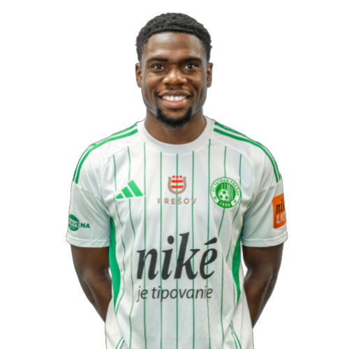 Dominique Simon Icon