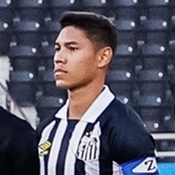 Vinicius Balieiro Icon