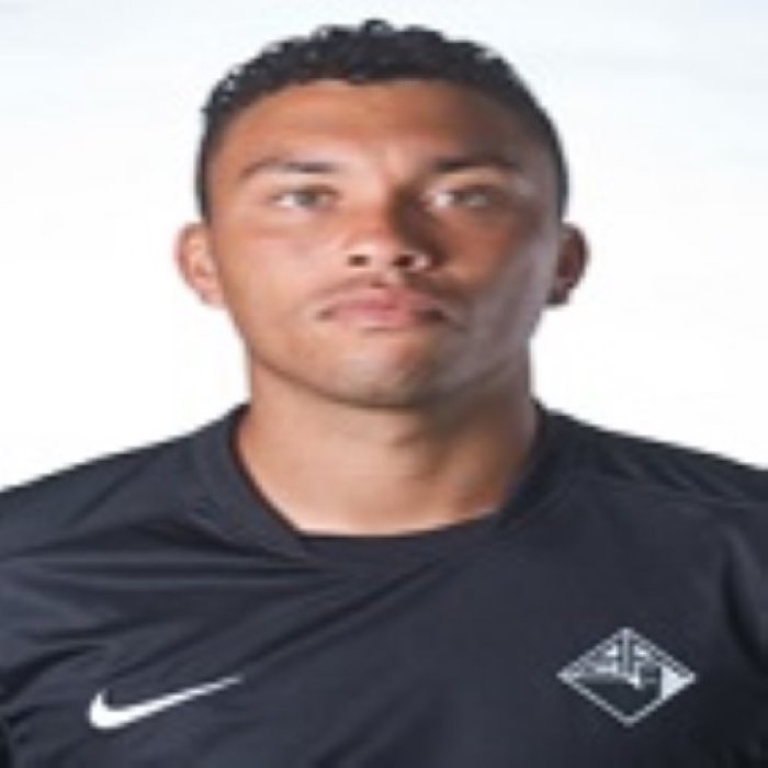 Ricardo Nascimiento Icon