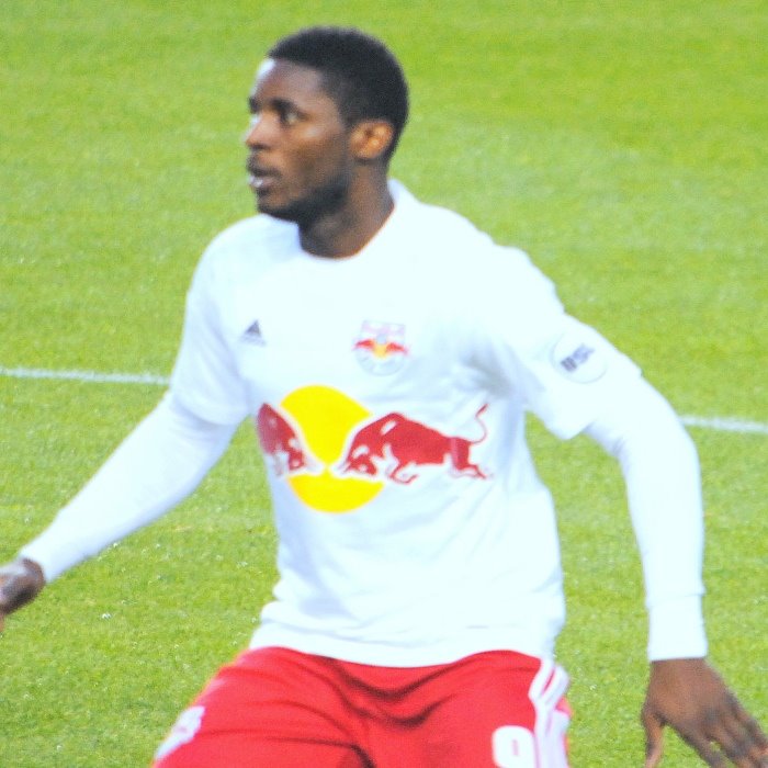 Anatole Abang Icon