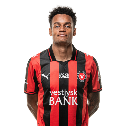 Paulinho Icon