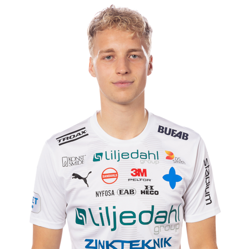 Victor Larsson Icon