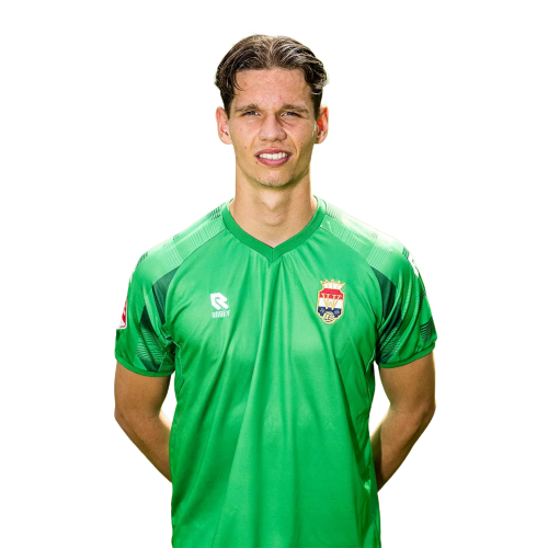 Karst De Leeuw Icon