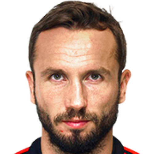 Tomas Sivok Icon