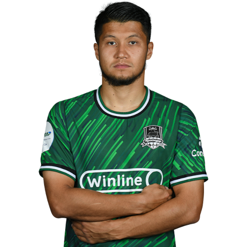 Ilzat Akhmetov Icon