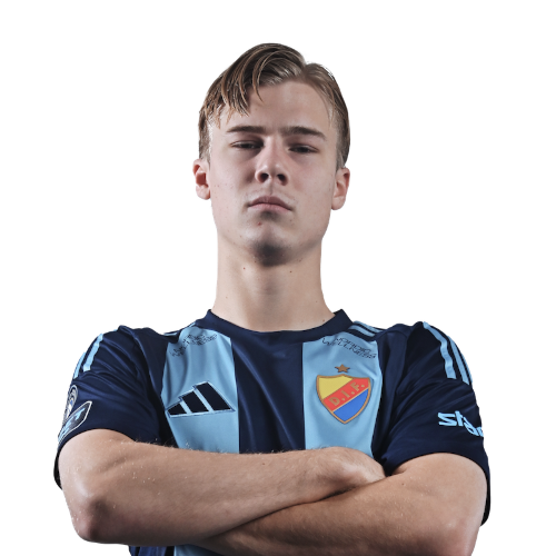 Theo Bergvall Icon