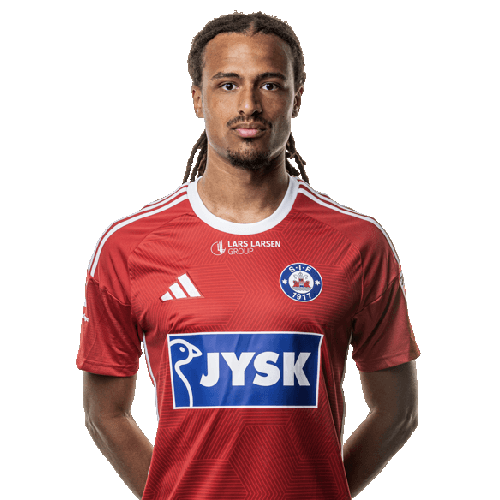 Robin Dahl Østrøm Icon