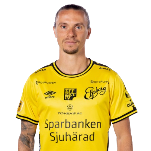 Niklas Hult Icon