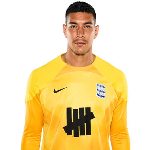 Neil Etheridge Icon