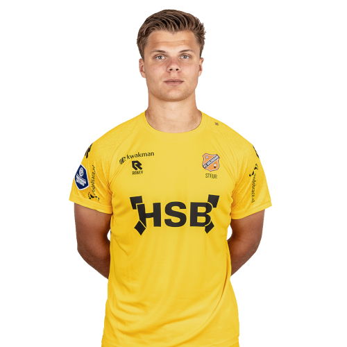 Roy Steur Icon