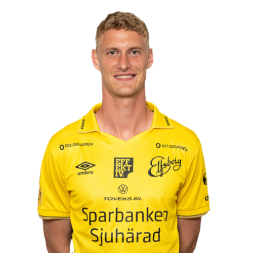 Emil Holten Icon