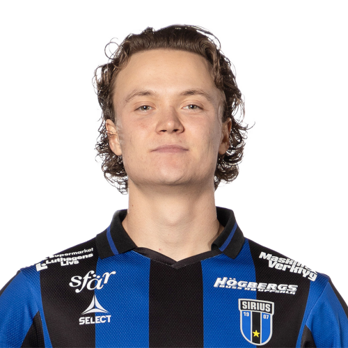 Herman Sjögrell Icon