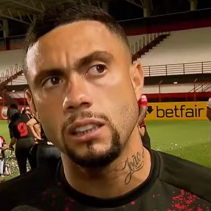 Wellington Rato Icon