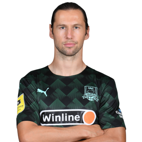 Grzegorz Krychowiak Icon