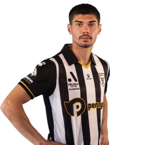 Yianni Nicolaou Icon