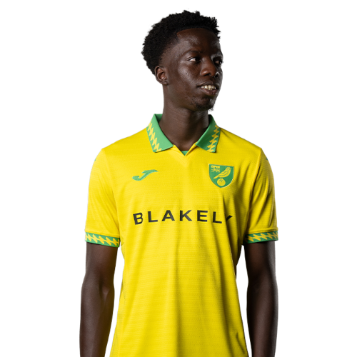 Pape Diallo Icon