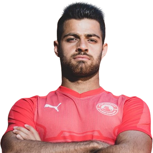 Morteza Pouraliganji Icon