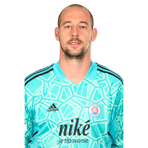 Milan Borjan Icon