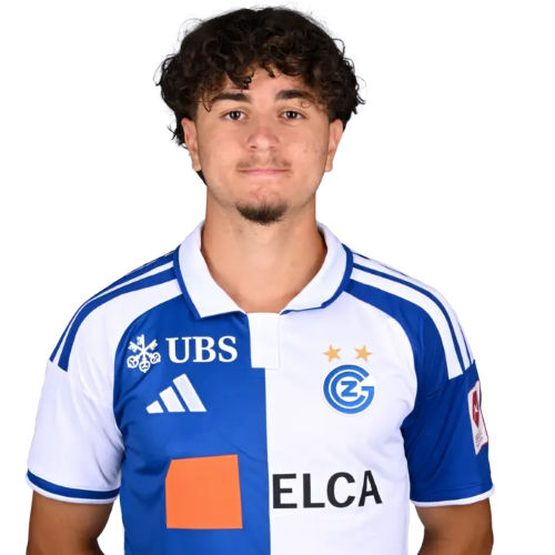 Denis Sahin Icon