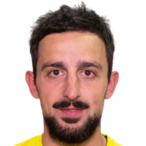Vladimir Bajic Icon