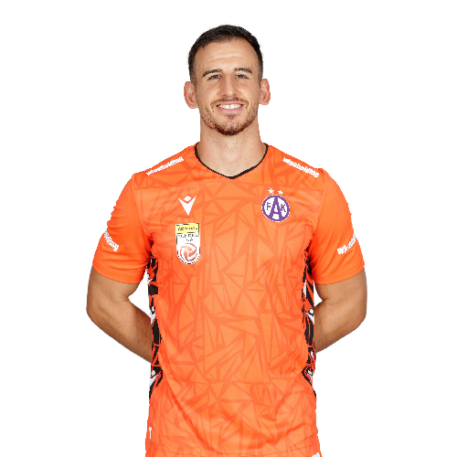 Mirko Kos Icon