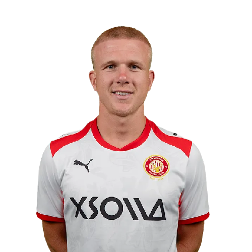 Lewis Freestone Icon