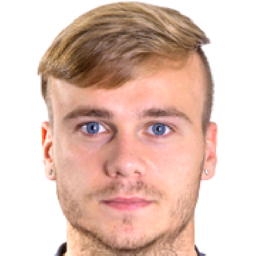 Mario Ticinovic Icon