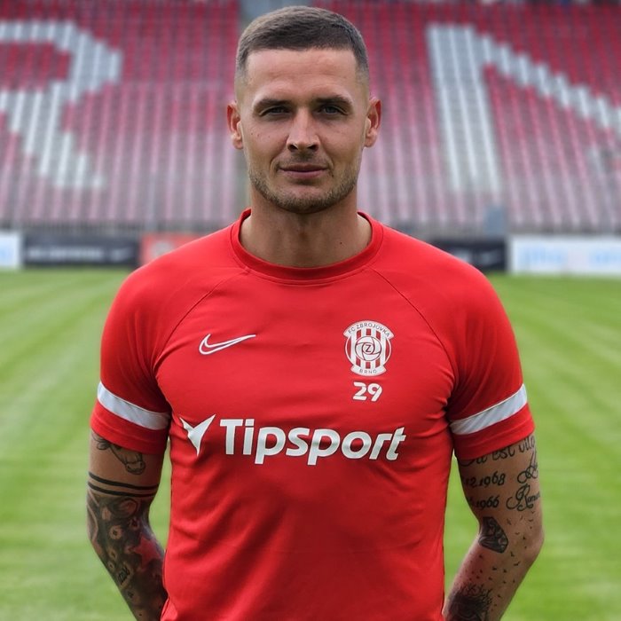 Roman Potočný Icon