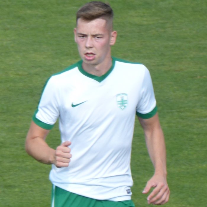 Martin Mášík Icon