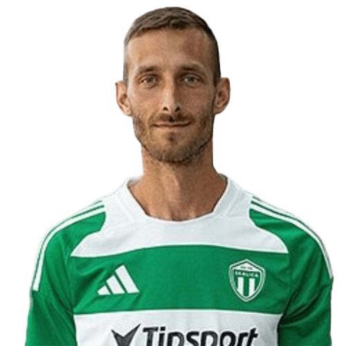 Martin Černek Icon