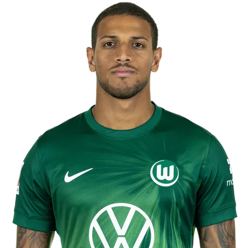 Vinicius Souza Icon